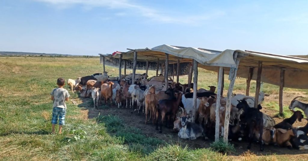 The story of Ilie, a little boy for whom the school was a second home: "What did I do wrong that Santa Claus didn't come to me?"