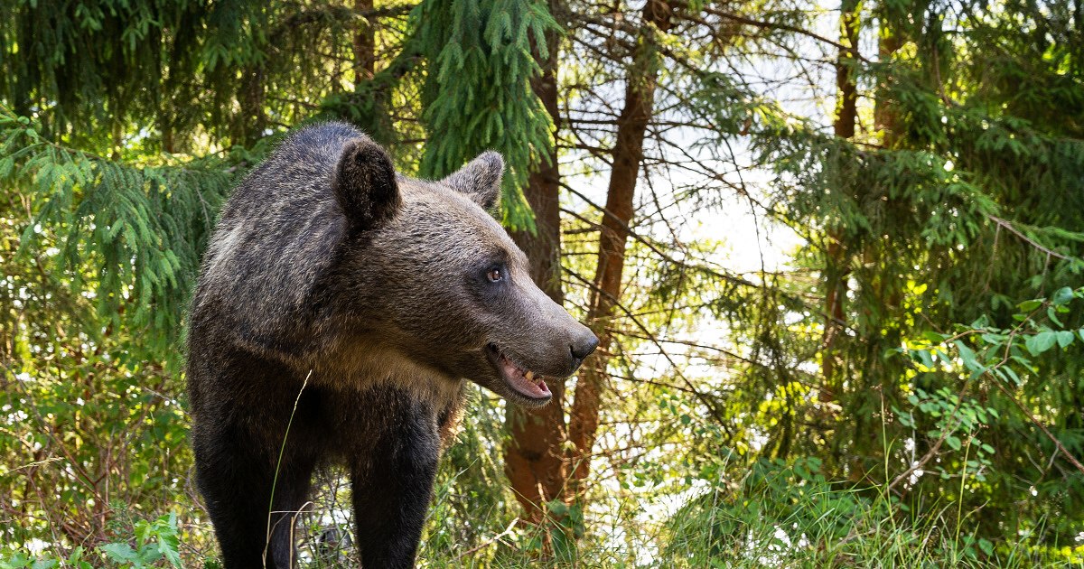 Tourist from the Czech Republic, about Romania: "Because of the increase in the standard of living, part of the authenticity of the country is disappearing"