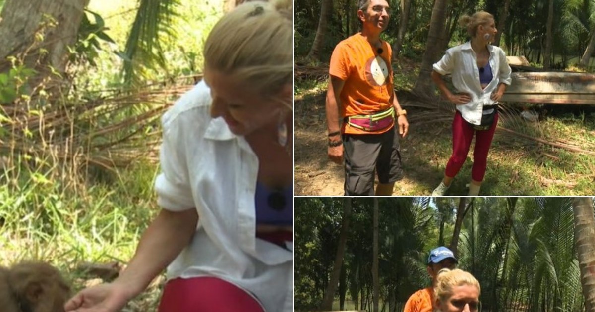 Video Asia Express Season 7 September 25. A competitor was faster than a monkey in the coconut picking test