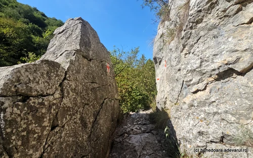 Cheile Turzii Photo Daniel Guță THE TRUTH (147) jpg