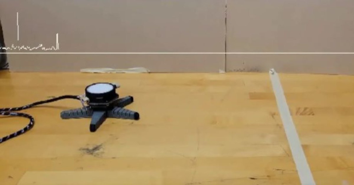 Video Mushrooms can control robots with electrical impulses. The amazing discovery of scientists