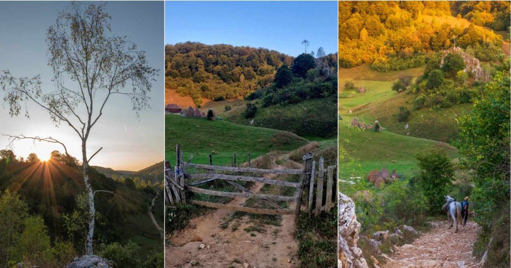 Video The place called "The Palm of God" on Via Transilvanica. Villagers leave it in the fall, but tourists do anything to see it