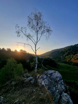 Ponorului dead end in autumn Photo Lucian Ignat (10) jpg