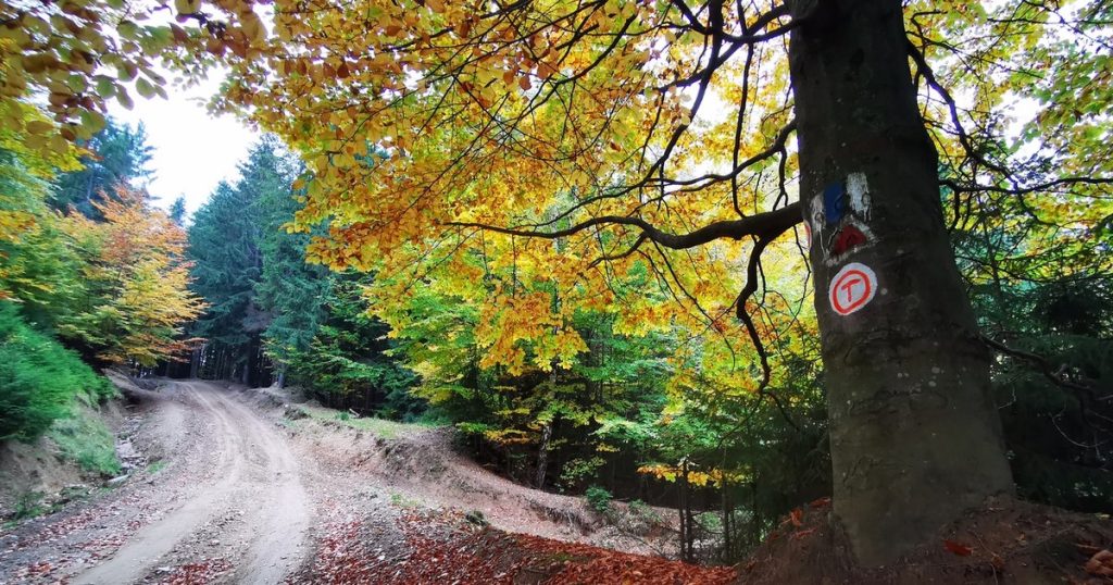 Video The roads that lead into the wilderness of the Șureanu Mountains. How to get to the amazing places in the nature park