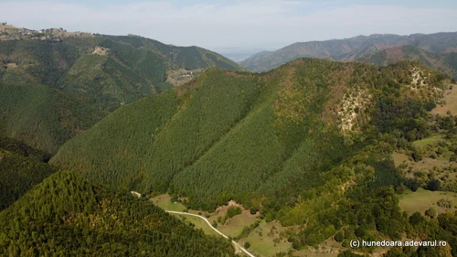 Valea Luncani Cioclovina Photo Daniel Guță THE TRUTH (22) JPG