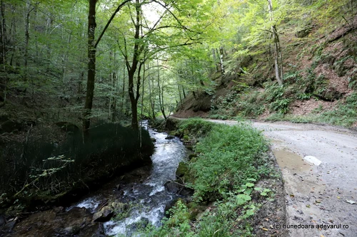 Transluncani Photo Daniel Guță THE TRUTH (45) JPG