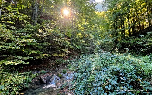 Ponorici Șureanu Mountains Photo Daniel Guță THE TRUTH (46) jpg