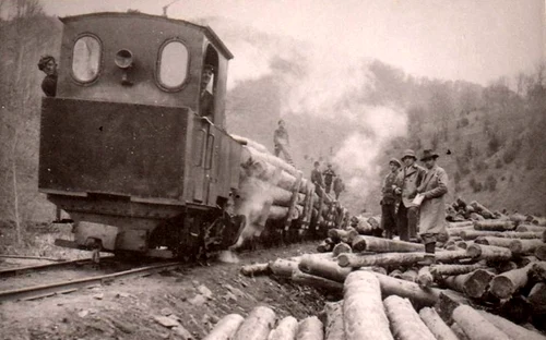 Forest railways in Jiului Valley Year 1956 Photo Richard Marschalko (7) 001 jpg