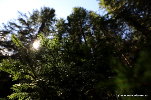 The Raușor area under Retezat Peak Photo Daniel Guță THE TRUTH (44) JPG