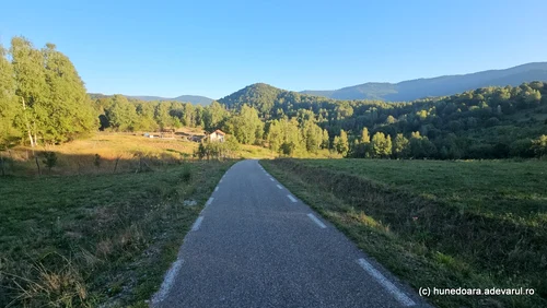 Transluncani Photo Daniel Guță THE TRUTH (80) JPG