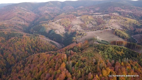 Măgureni village Photo Daniel Guță THE TRUTH (96) JPG