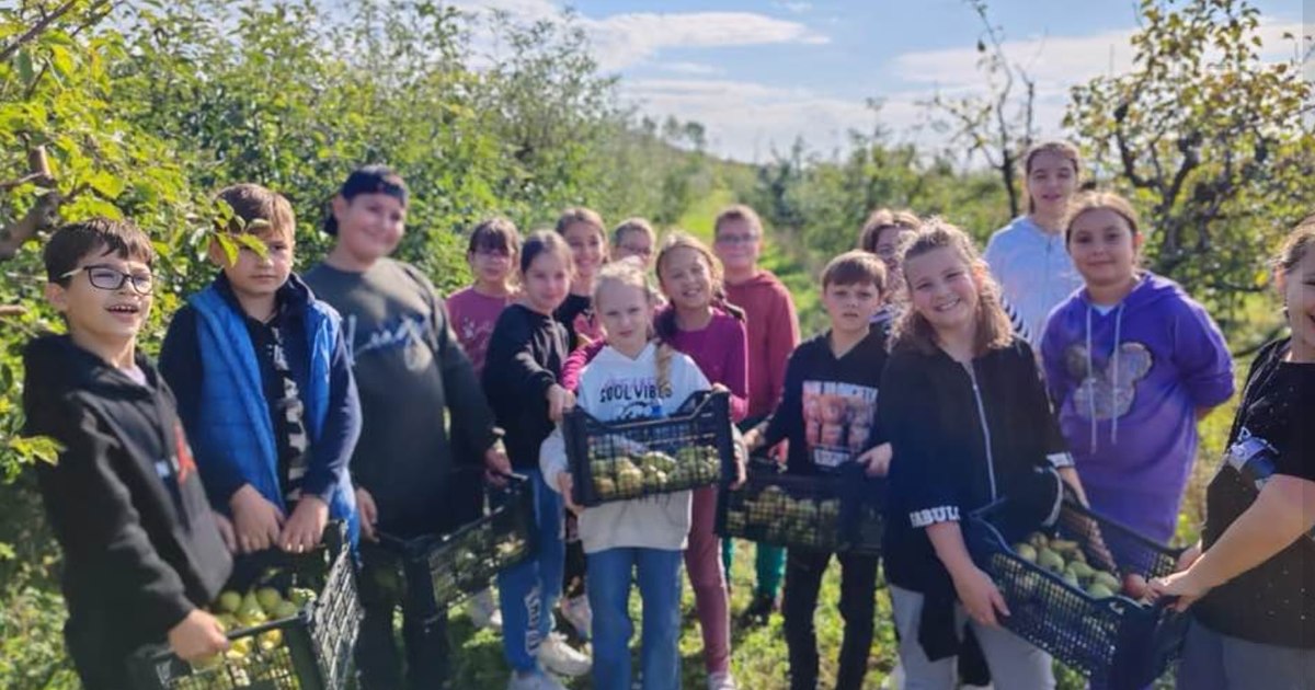 A former Road boss turned his orchard into a classroom. Students are encouraged to learn directly in nature alongside teachers