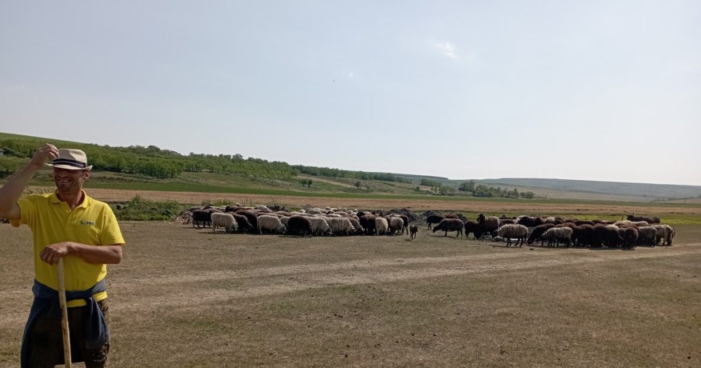 Agriculture on the brink of disaster. Small and medium farmers with huge losses. "On 100 hectares we barely got 100 kilograms"
