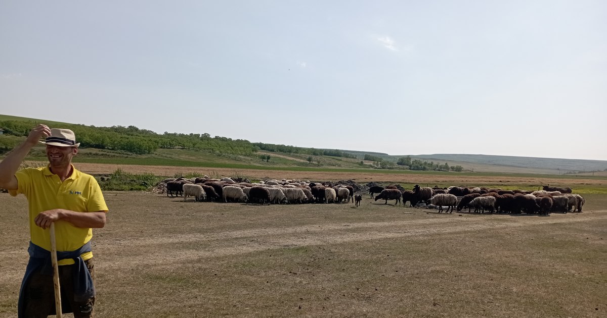 Agriculture on the brink of disaster. Small and medium farmers with huge losses. "On 100 hectares we barely got 100 kilograms"