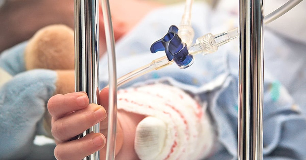 Antiparasitic substances for veterinary use are no longer sold freely after the tragedies in Iași. How the law was changed