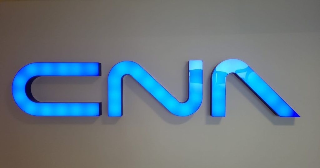 CNA has seven new full members. Who are the persons appointed by the Parliament