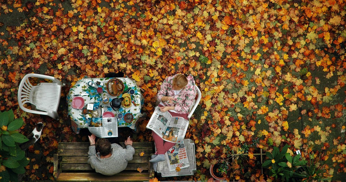 FOCUS ON CULTURE: a film about 1989, a documentary festival for the whole family and Nobel week, among October's recommendations