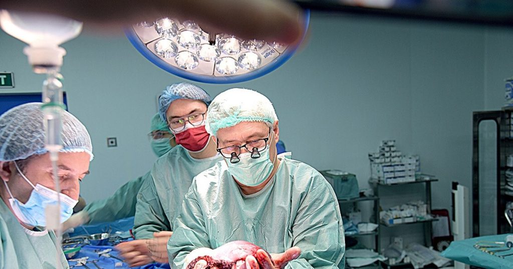 Good news for patients waiting for a transplant. An automated operation will facilitate the allocation of available organs