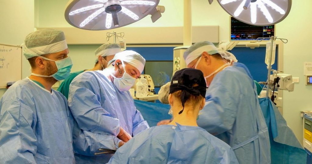 Green light for the development of a new IT platform in the field of organ transplantation