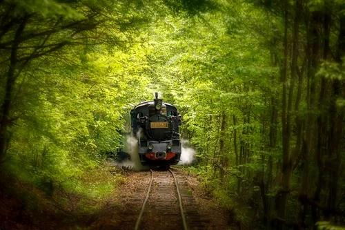 Mocănița Sovata from Mureș Photo Hamos Gyozo Facebook