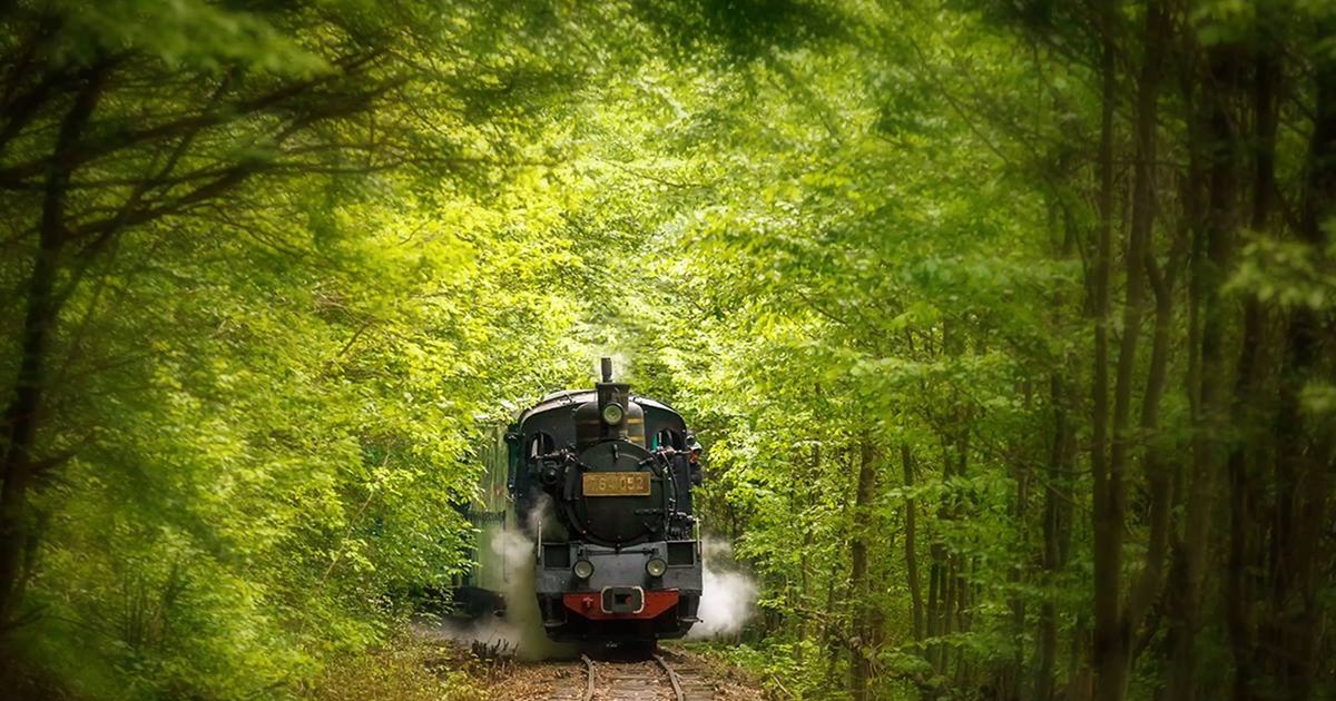 Photo THE MOCANITES OF ROMANIA. Episode 3. From Hollywood movie to world records - adventures on rails