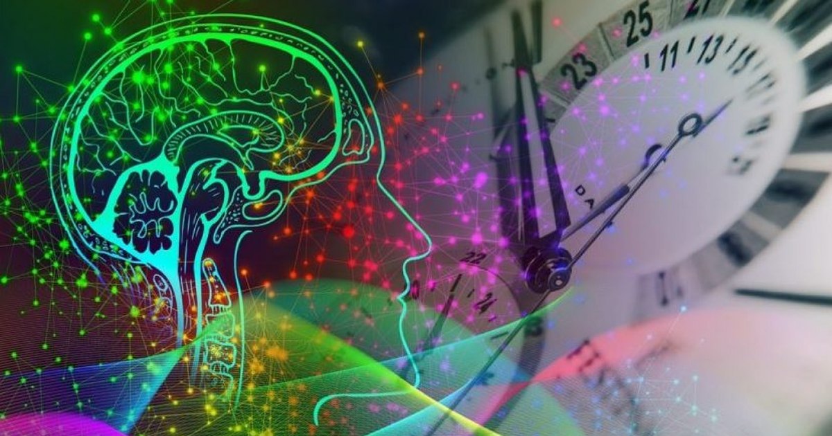 Researchers have discovered a genetic link between brain size and the risk of developing Parkinson's and ADHD