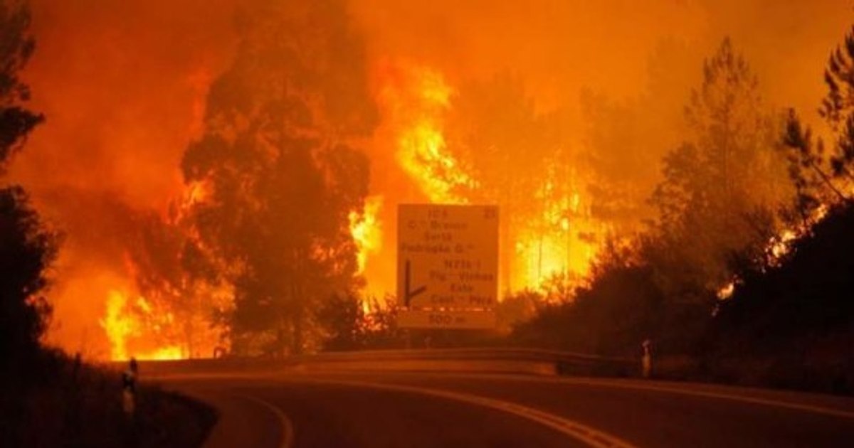 Smoke pollution from wildfires could cause 12,000 additional deaths annually