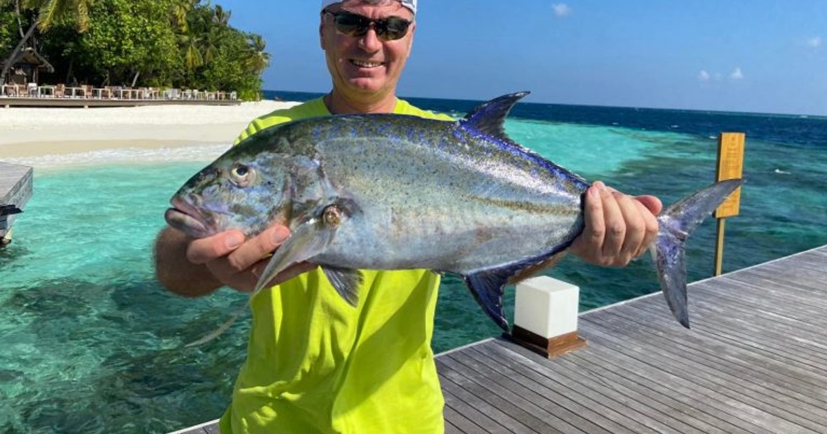 The director of the Ministry of Agriculture accused by DNA of having sold fishing nets from Thailand to Romania admitted his facts