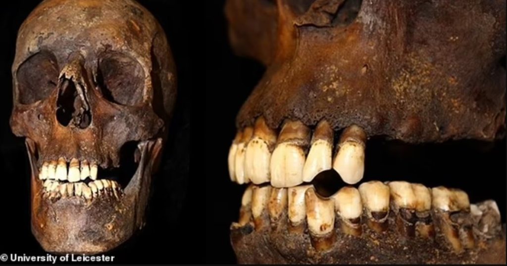 The researchers analyzed human bones before and after the introduction of tobacco into Europe. What they discovered is incredible