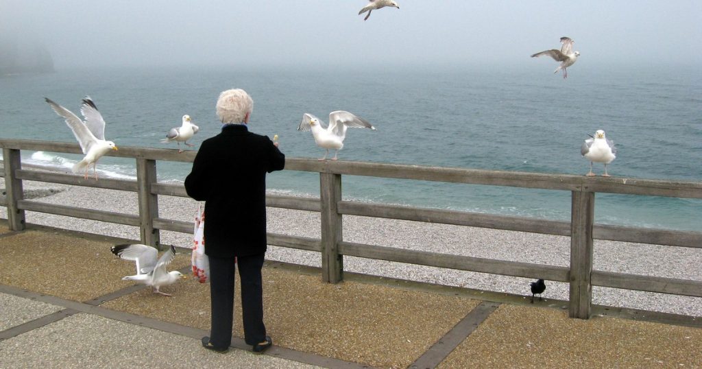 The secrets of a carefree old age, revealed by a psychiatrist. How we can protect ourselves from cognitive decline