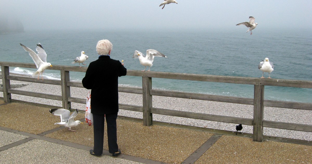 The secrets of a carefree old age, revealed by a psychiatrist. How we can protect ourselves from cognitive decline