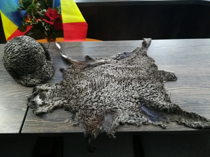 Karakul skins PHOTO The truth