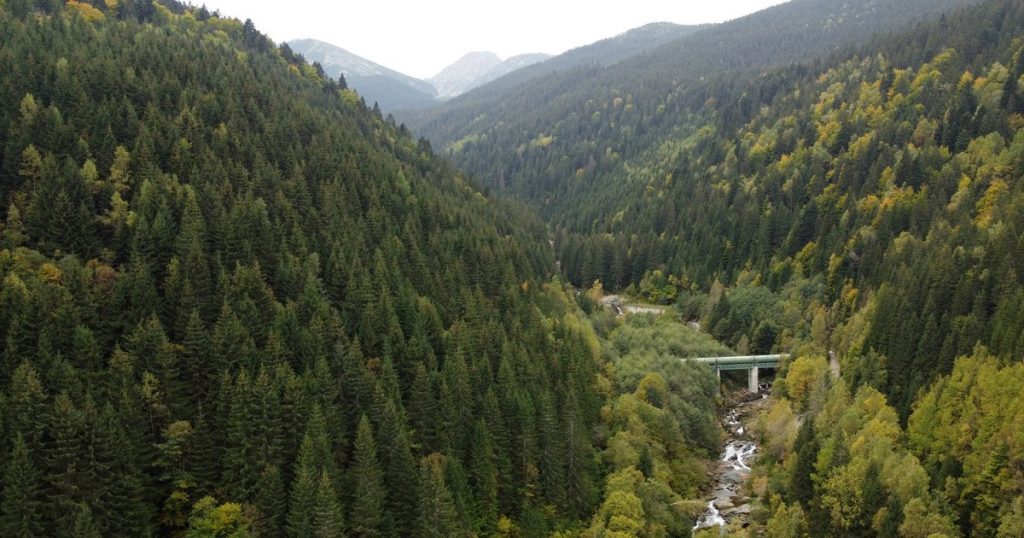 Video Autumn, the ideal weather for hiking in Retezat. What tourists arriving at the mountain should know