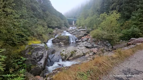 The road on Valea Pietrele to Lolaia, Retezat Photo Daniel Guță THE TRUTH (131) jpg