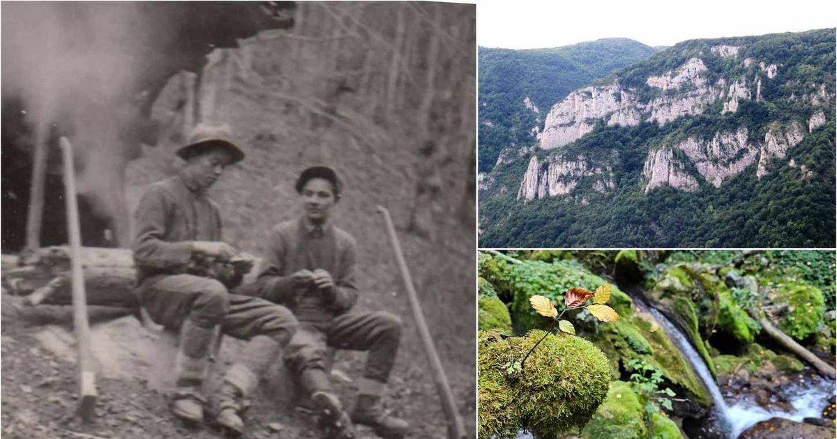 Video Life in the uncharted mountain village. Abandoned in 1960, Tecuri hid a strange story and a wonder of nature