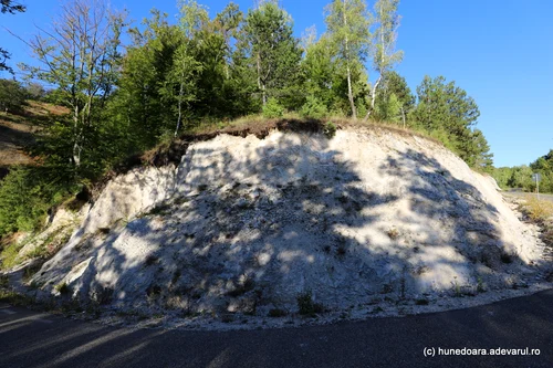 Transluncani Photo Daniel Guță THE TRUTH (29) JPG