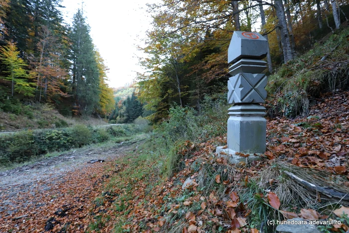 Terminal on Via Transilvanica. Photo: Daniel Guță. TRUTH