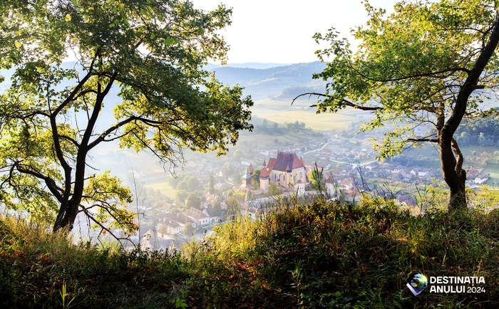 Image with Bran in the background