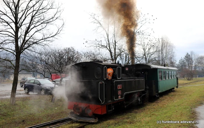Mocănița Brad - Crișcior. Photo: Daniel Guță. TRUTH