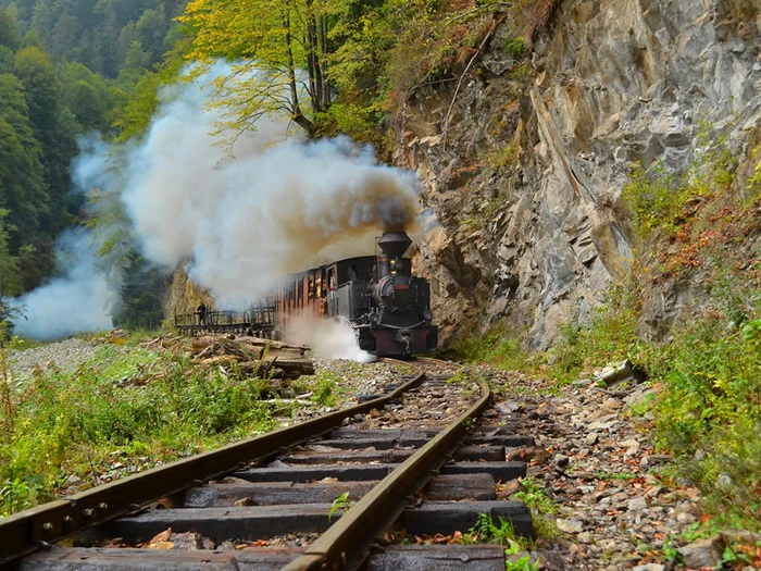 Valea Vaserului Photo Vișeu de Sus City Hall.
