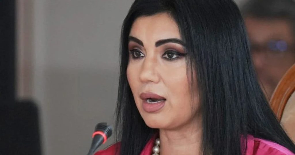 Adriana Bahmuțeanu asks Prime Minister Ciolacu for help to recover her children: "I beg you to take urgent measures"