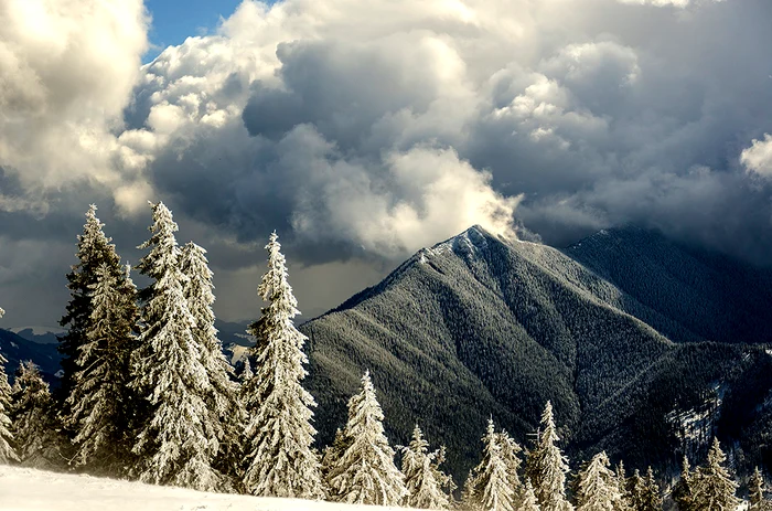 Dorna's hearth. Photo: visitvatradornei.ro