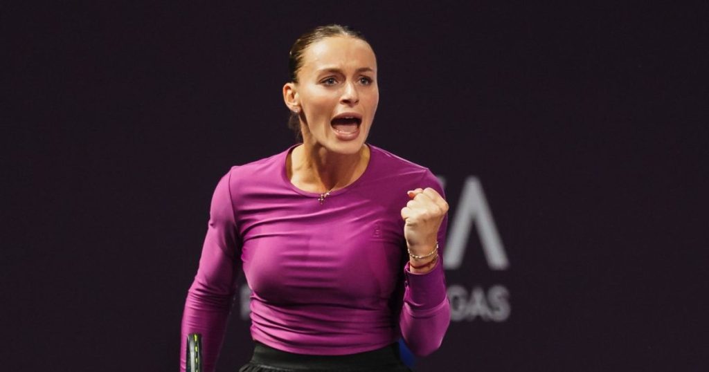 Romania - Japan, today, in Malaga: the station broadcasting a historic match for Romanian tennis