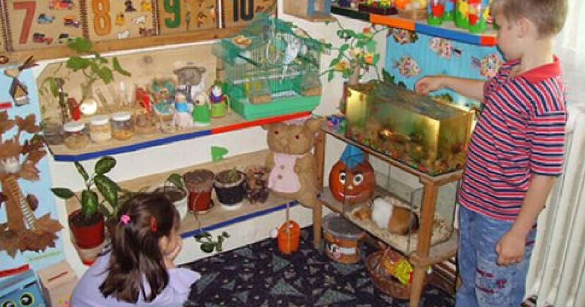 The payment of 500 lei for preschoolers and disadvantaged students begins. What can the money be spent on?