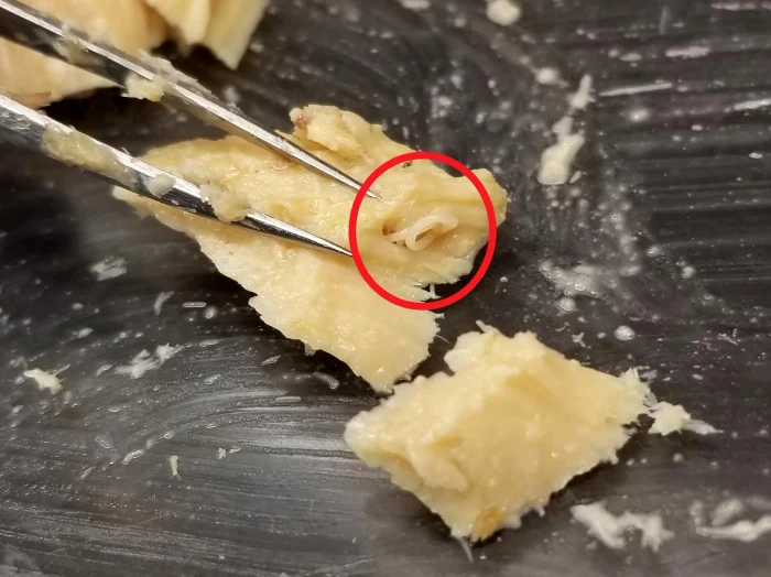 Photo Techno Science