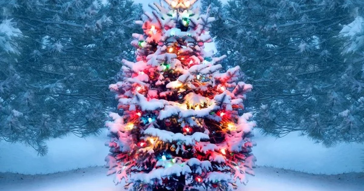 Color trends for the Christmas tree in 2024: Blue and elegant combinations will dominate the holidays