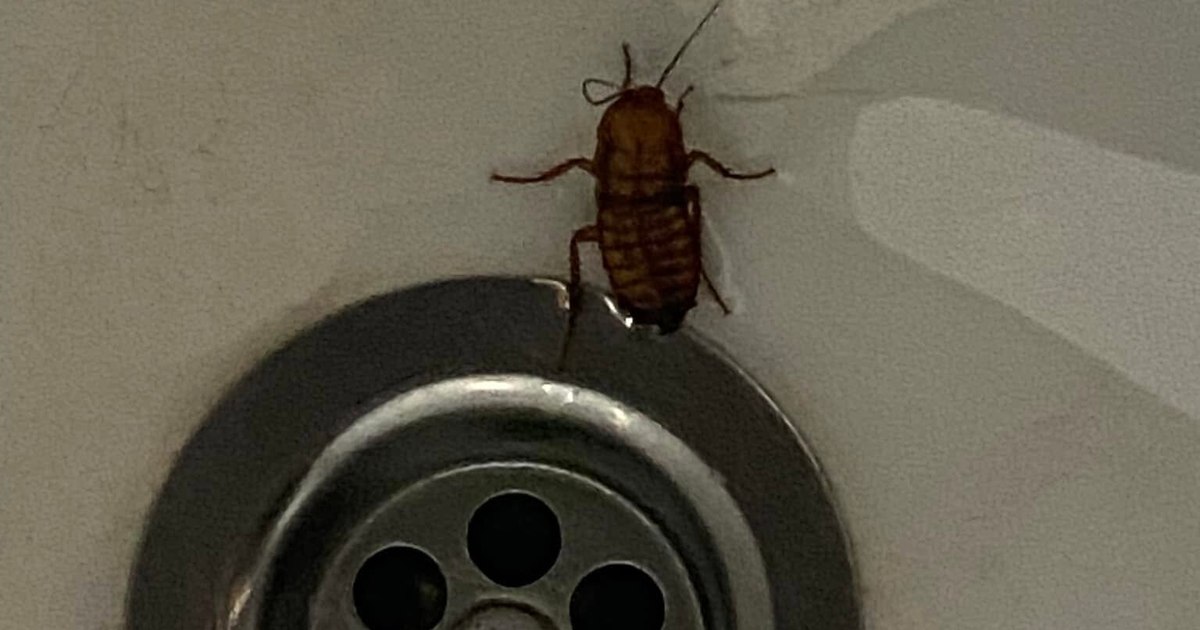 Deplorable conditions at the Children's Hospital in Cluj-Napoca. One mother's reaction: "Horrible experience, I was left traumatized"