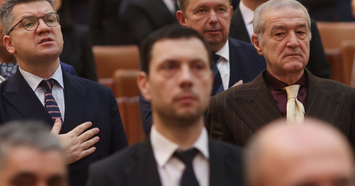 Gigi Becali's CV, deleted from the Parliament page. The unknown details of his first term