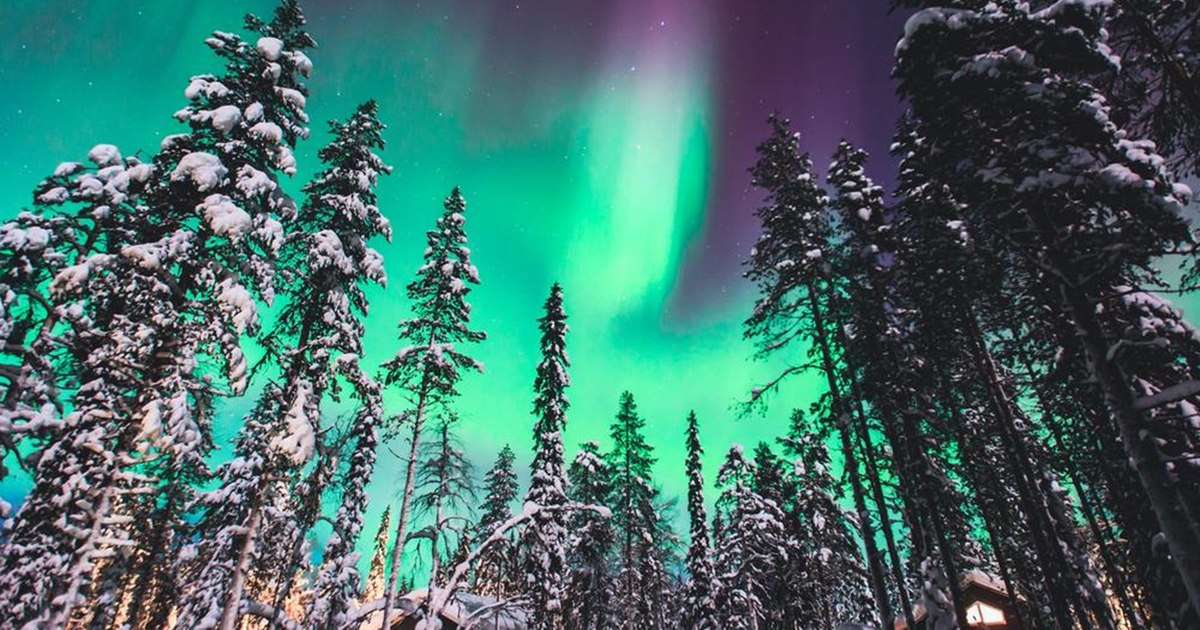 Lapland, the most sought-after foreign destination in December. Discounted offers for 2025