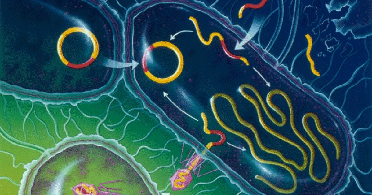 Life forms that pose an "unprecedented risk" to life on Earth. Scientists are calling for a halt to the research